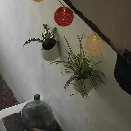 Longo Mai Apt
